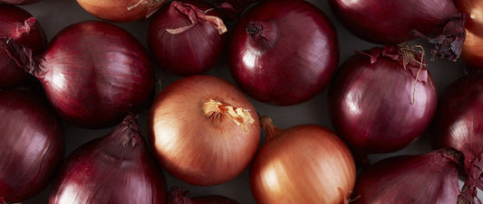 The Role of Disposable Temperature and Humidity Loggers in Onion Transportation