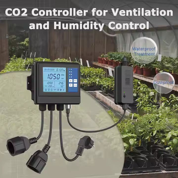Temp C01 Temperature Controller for Green House