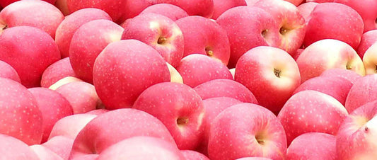 The Role of Disposable Temperature Loggers in Apple Transportation