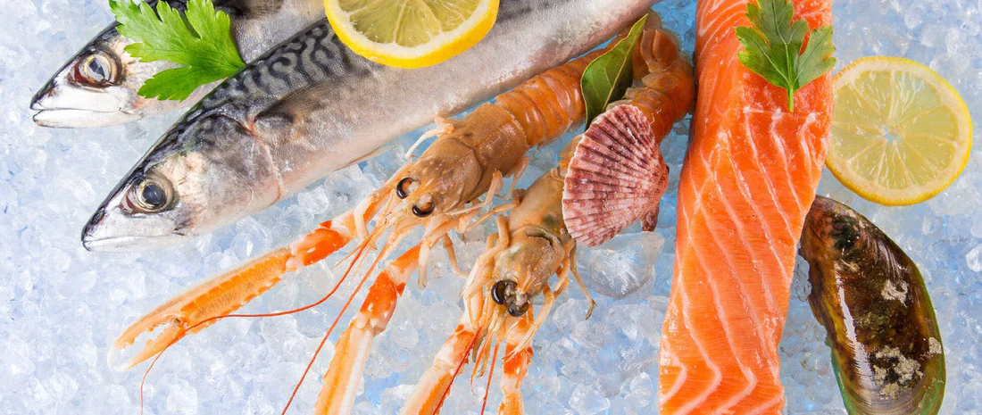 Temperature Loggers in Seafood